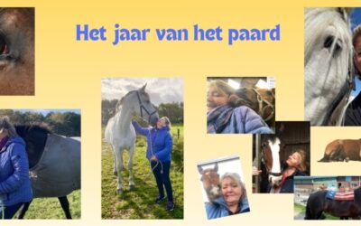 Het jaar van het paard                                     en de overeenkomst met lachen